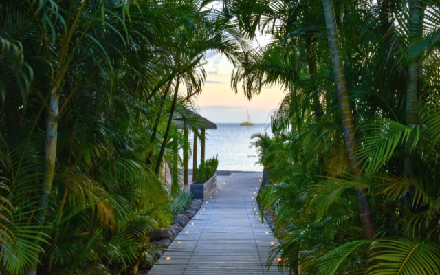 Pathway through the jungle to the beach