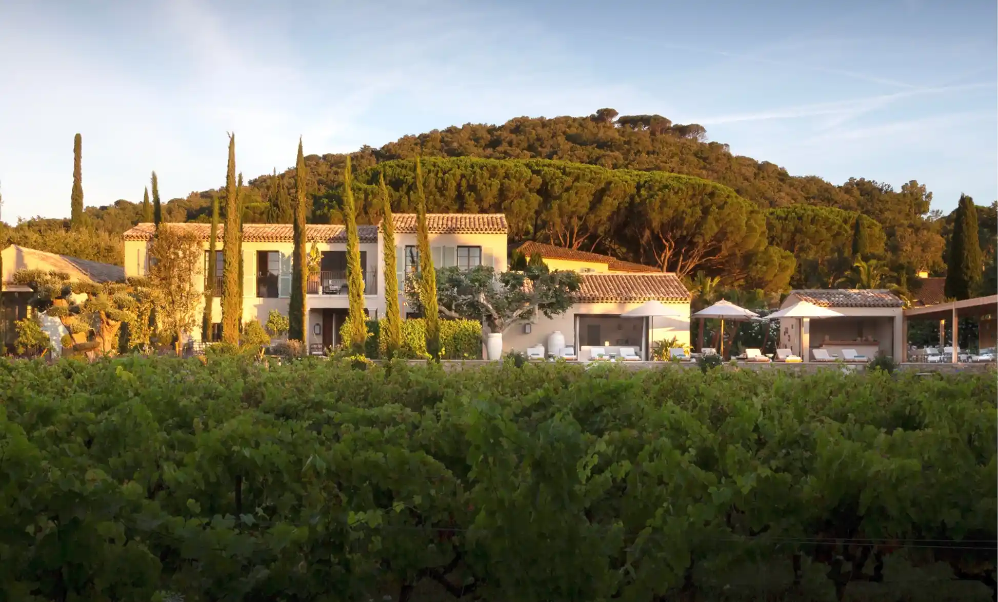 La Bastide des Vignes